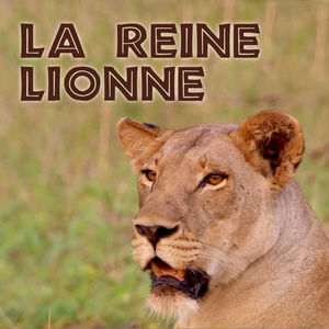 Télécharger La Reine Lionne