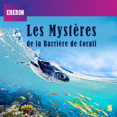 Télécharger Les mystères de la barrière de corail