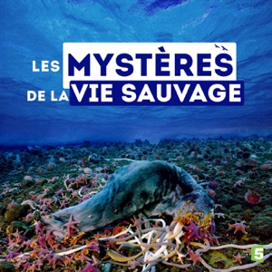 Télécharger Les mystères de la vie sauvage