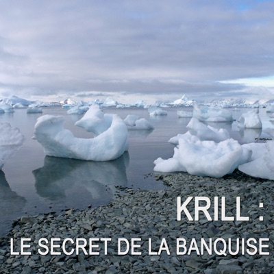 Télécharger Krill : le secret de la banquise