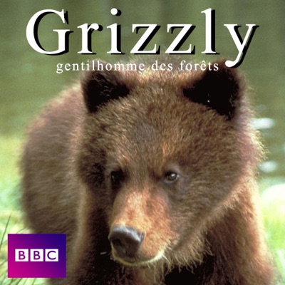 Télécharger Grizzly gentilhomme des forêts