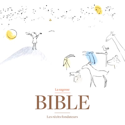 Télécharger Bible, les récits fondateurs, Vol.8 : La sagesse