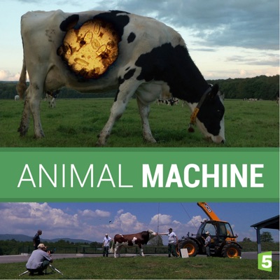 Acheter Animal Machine en DVD