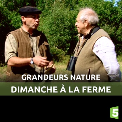 Télécharger Dimanche à la ferme