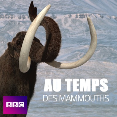 Aux temps des mammouths torrent magnet