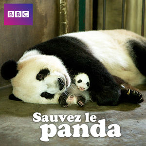 Acheter Saving the Panda, Sauvez le panda en DVD