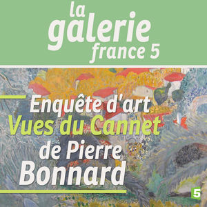 Acheter Vues du Cannet de Pierre Bonnard en DVD