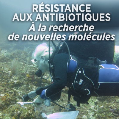 Télécharger Résistance aux antibiotiques