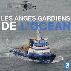 Télécharger Les anges gardiens de l'océan