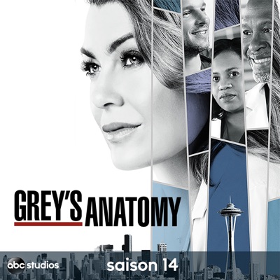 Grey's Anatomy, Saison 14 (VOST) torrent magnet
