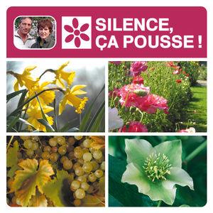 Télécharger Silence ça pousse, Le jardin mois par mois