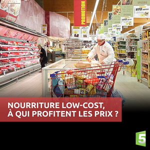 Nourriture Low-Cost, à qui profitent les prix ? torrent magnet