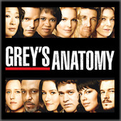 Grey's Anatomy, Saison 4 torrent magnet