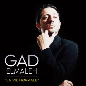 Télécharger Gad Elmaleh, la vie normale