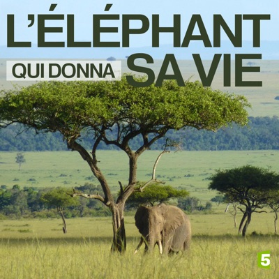 Télécharger L'éléphant qui donna sa vie