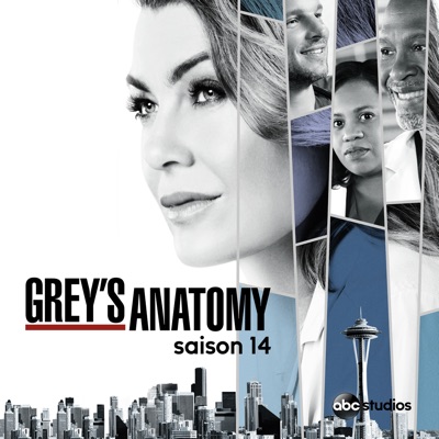 Acheter Grey's Anatomy, Saison 14 en DVD