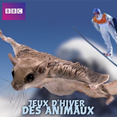 Télécharger Jeux d'hiver des animaux