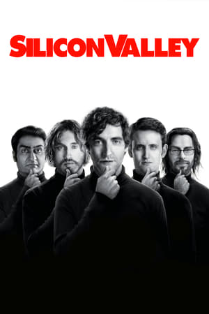 Silicon Valley, Saisons 1-5 (VF) torrent magnet