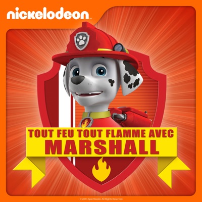 Télécharger Paw Patrol - Tout feu tout flamme avec Marshall