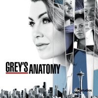 Grey's Anatomy, Saison 15 (VOST) à télécharger 