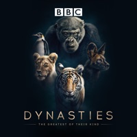 Dynasties à télécharger 