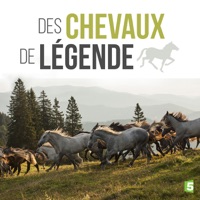 Des chevaux de légende à télécharger 