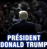 Président Donald Trump à télécharger 