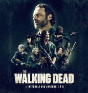 The Walking Dead, Saisons 1-8 à télécharger 