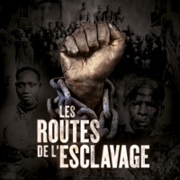 Les routes de l'esclavage à télécharger 