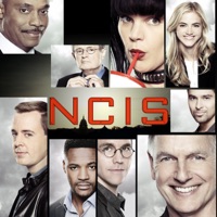 NCIS, Saison 15 à télécharger 