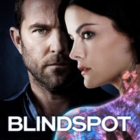 Blindspot, Saison 3 (VF) à télécharger 