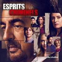 Esprits Criminels, Saison 14 à télécharger 