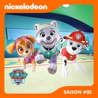 Paw Patrol, la Pat’ Patrouille, Saison 5, Partie 1 à télécharger 