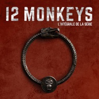 12 Monkeys, L'intégrale de la série à télécharger 