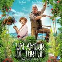 Un amour de tortue à télécharger 