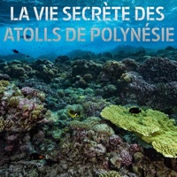 La vie secrète des atolls de Polynésie à télécharger 