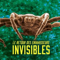 Le retour des envahisseurs invisibles à télécharger 