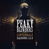 Peaky Blinders, l'intégrale des saisons 1 à 5 (VF) à télécharger 