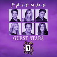 Friends, Guest Stars, Vol. 1 (VOST) à télécharger 