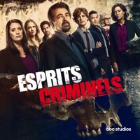 Esprits criminels, Saison 15 (VOST) à télécharger 