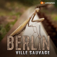 Berlin, ville sauvage à télécharger 