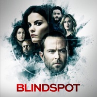 Blindspot, Saison 5 (VOST) à télécharger 