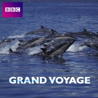 Le grand voyage à télécharger 