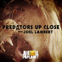 Predators Up Close with Joel Lambert, Season 1 à télécharger 