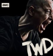 The Walking Dead, Season 10 à télécharger 