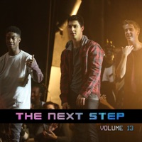 The Next Step, Vol. 13 à télécharger 