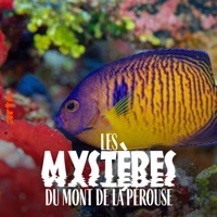 Les mystères du mont La Pérouse à télécharger 