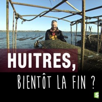 Huîtres, bientôt la fin ? à télécharger 