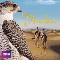 Wild Arabia à télécharger 