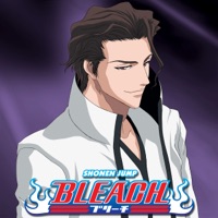 Bleach, Season 22 à télécharger 